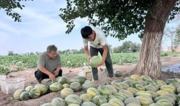 西昌吃瓜达达春天