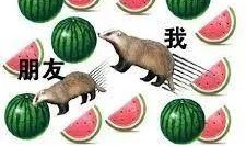 翻车吃瓜,吃瓜群众围观