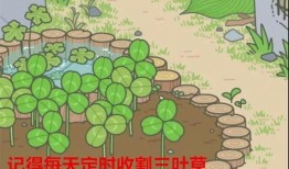 道具吃瓜蛙,揭秘神秘道具背后的神奇力量