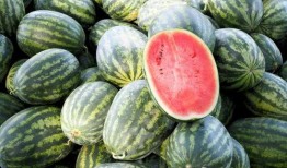 网红吃瓜世界合集,揭秘娱乐圈幕后风云