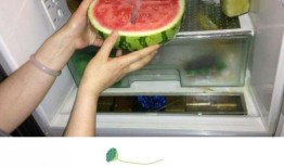 吃饭时吃瓜,吃瓜趣事大盘点