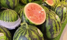 广东吃瓜男子,揭秘街头美食背后的故事