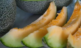 带你吃瓜喊口号,畅游娱乐热点，一起喊口号！