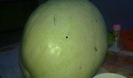 吃白瓜血糖升高吗,白瓜食用对血糖影响解析