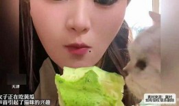 吃瓜女生是谁,网络红人的崛起与影响力