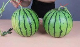 天水人吃瓜不甜砸瓜摊,吃瓜不甜砸瓜摊，揭秘瓜农智慧与市场奇观