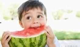 吃瓜吃皮的故事简介,揭秘背后真相的趣味故事