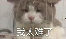 内娱吃瓜情报,揭秘娱乐圈最新吃瓜情报