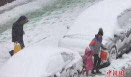 纽约吃瓜群众大雪,大雪席卷城市，街头巷尾尽成冰雪乐园！