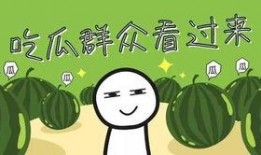 暑期将至适当吃瓜,清凉一“瓜”乐无边