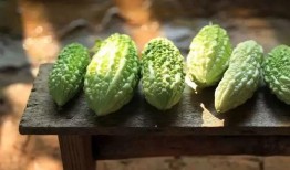 kxn6吃瓜,揭秘娱乐圈最新热点事件