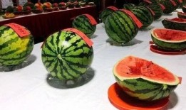 慕西吃瓜,揭秘娱乐圈背后的那些事儿