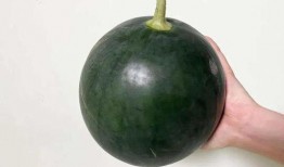 大瓜可以吃吗,揭秘能否安全享用