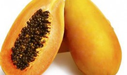 肾阳虚吃啥瓜,这些瓜果助你温补肾阳