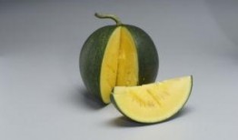 月下独吃瓜,品味人生百态