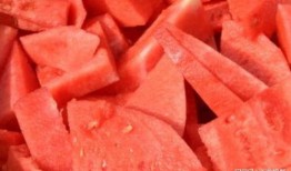 吃瓜真的不容易,轻松背后不易的辛酸历程