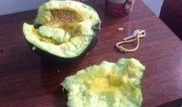 吃瓜吃瓤俗语怎么说,探寻“吃瓜吃瓤”的俗语智慧