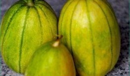 晚上吃高瓜长胖,揭秘增肥的秘密