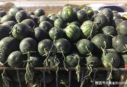 吃瓜交换栏,揭秘热门事件背后的八卦风云