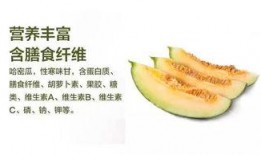 哈密吃瓜,探寻新疆哈密瓜的独特魅力