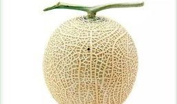 瓜岛上的吃瓜群众,揭秘吃瓜群众的日常