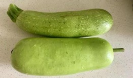 秋后吃哪些瓜最好,秋季吃瓜指南，这些瓜最适合秋季享用