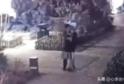 老街吃瓜视频完整,揭秘街头美食背后的故事与风情