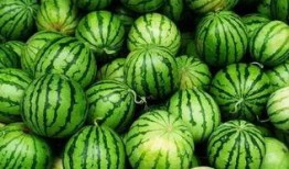 吃瓜秘笈,吃瓜秘笈大公开