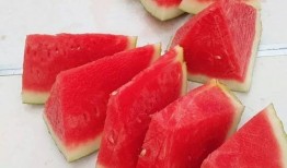 有趣的吃瓜比赛,趣味吃瓜大赛，谁才是瓜王？