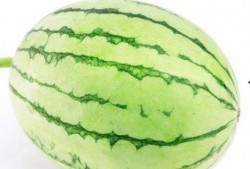 广州户外吃瓜,炎炎夏日里的清凉一夏