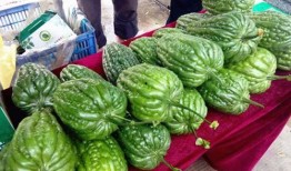 杜阮 吃凉瓜,夏日消暑，凉瓜美食之旅