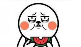 有关吃瓜的热词