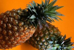 吃瓜群什么菠萝,一场趣味横生的社交狂欢