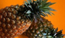 吃瓜群什么菠萝,一场趣味横生的社交狂欢