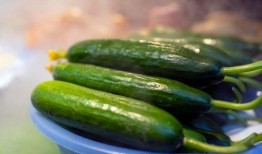 红中吃瓜,揭秘网络热点的背后真相