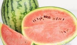 上岁数吃瓜拉稀,揭秘老年人腹泻之谜