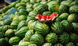 吃瓜可以变胖吗,吃瓜也能变胖？揭秘日常零食的隐形热量陷阱