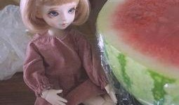 装萌吃瓜,揭秘娱乐圈的“萌宠”与“瓜王”