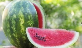 为何 都爱 吃瓜,为何全民皆爱“吃瓜”现象背后的心理动因