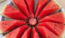 有趣的吃瓜比赛,趣味吃瓜大赛，谁才是瓜王？