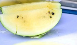 香港最近吃瓜,揭秘幕后风云与明星恩怨