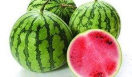 哪瓜不可以吃脑筋急转弯,一场脑洞大开的脑筋急转弯之旅