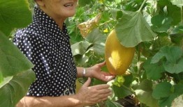 世纪咏歌吃瓜,揭秘吃瓜背后的娱乐风云