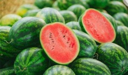 吃瓜不忘种瓜人,人生哲理与成长启示