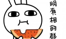 吃瓜抱团,揭秘网络社交新现象