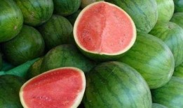 吃瓜容易的网站,网络时代下的娱乐风向标