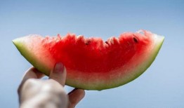 吃瓜真的不容易,轻松背后不易的辛酸历程