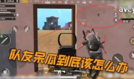 吃鸡呆瓜id,吃鸡呆瓜ID背后的欢乐与智慧