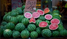 上海上港吃瓜,一场吃瓜盛宴背后的真相