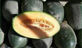 孩子天天吃哈密瓜